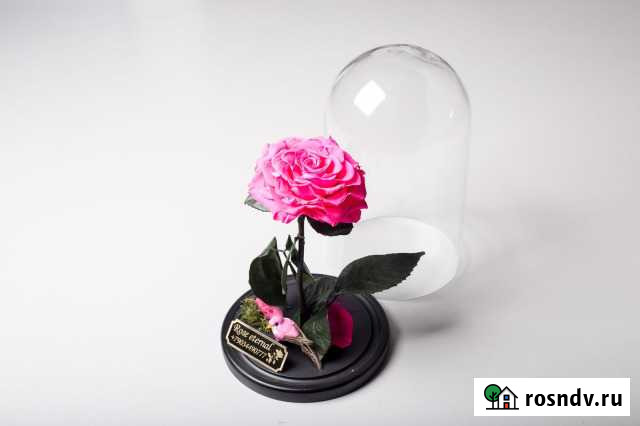 Роза в колбе, есть доставка по России Краснодар - изображение 1
