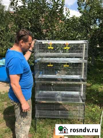 Клетка для перепелов на заказ Светлый - изображение 1