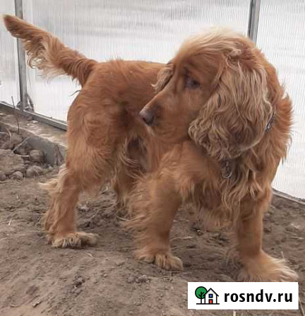 Вязка Благовещенск - изображение 1