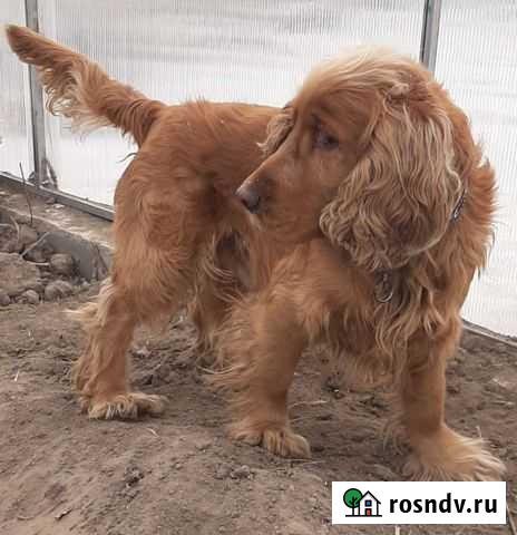 Вязка Благовещенск - изображение 1