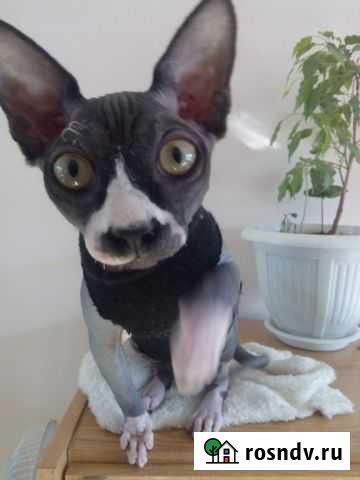 Вязка Симферополь - изображение 1