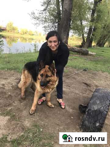 Вязка Минусинск - изображение 1