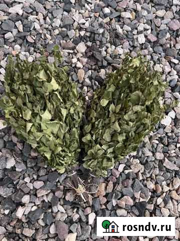 Веники для бани Вологда - изображение 1