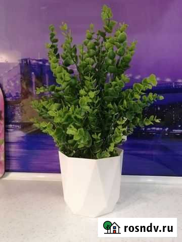 Искусственные цветы Нижний Новгород - изображение 1