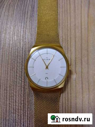 Часы мужские skagen Дания Нефтеюганск - изображение 1