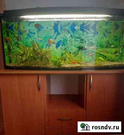 Аквариум с тумбой Саки