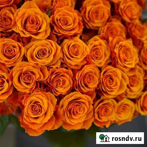 Доставка роз Тамбов - изображение 1