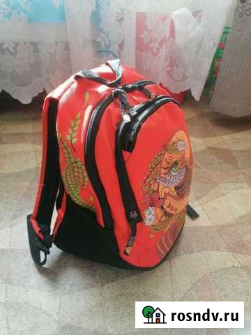 Рюкзак школьный для девочки Абакан - изображение 1