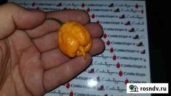 Carolina Reaper Yellow Каролина Рипер Желтая Севастополь