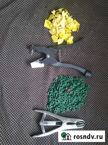 Биркач Фоки - изображение 1