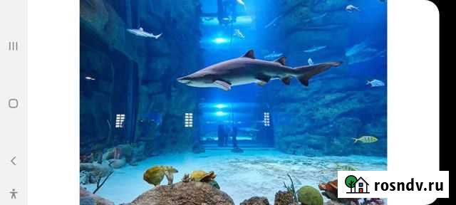 Москвариум, океанариум билеты Москва - изображение 1