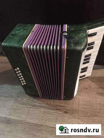 Аккордеон Новосибирск - изображение 1