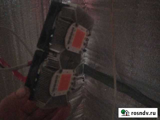 Лампы led полный спектр Калининград - изображение 1