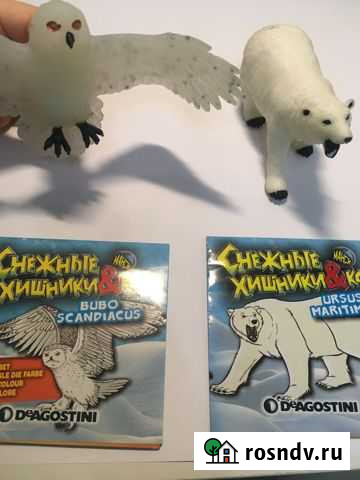 Снежные хищники Екатеринбург - изображение 1