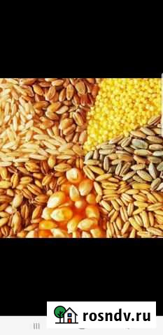 Помол солода Гаджиево - изображение 1