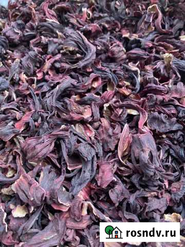 Гибискус каркаде Симоненко - изображение 1