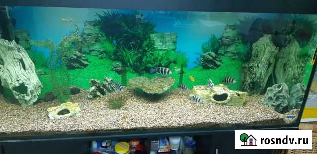 Аквариум с тумбой бу Евпатория - изображение 1