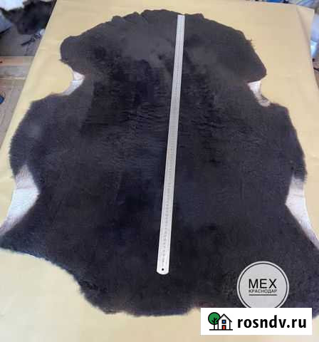 Ковер палас Севастополь - изображение 1