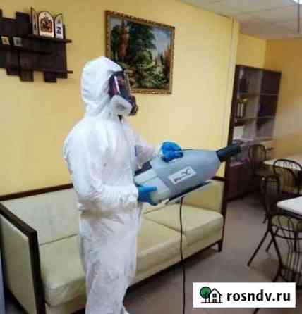Уничтожение клопов и тараканов Прокопьевск
