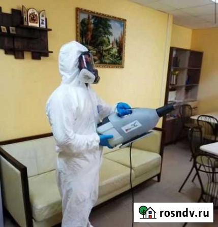 Уничтожение клопов и тараканов Прокопьевск - изображение 1