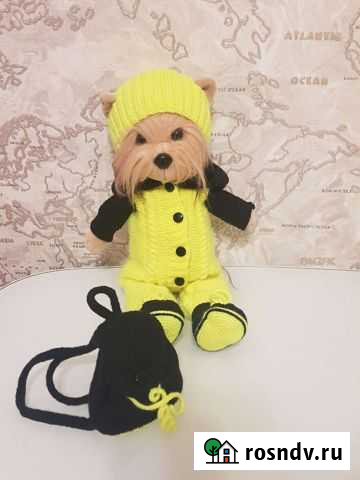 Лакки догги с дополнительными вещами Уфа - изображение 1