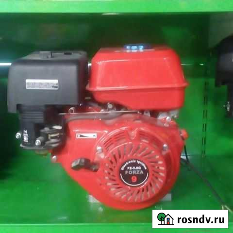Двигатель Форза 9лс Маслянино - изображение 1