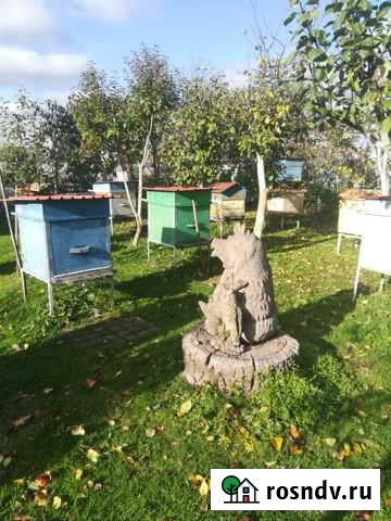 Ульи Чудово - изображение 1