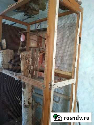 Вольер для попугаев Новоплатнировская - изображение 1