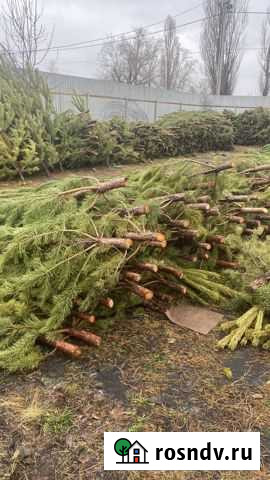 Воронеж опт Нововоронеж - изображение 1