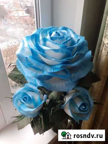 Роза Серпухов - изображение 1