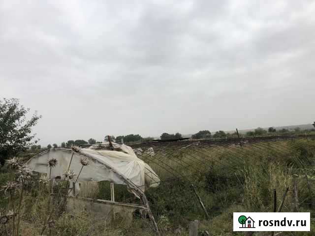 Теплицы Новая Мака - изображение 1