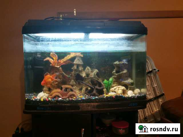 Аквариум Губкин - изображение 1
