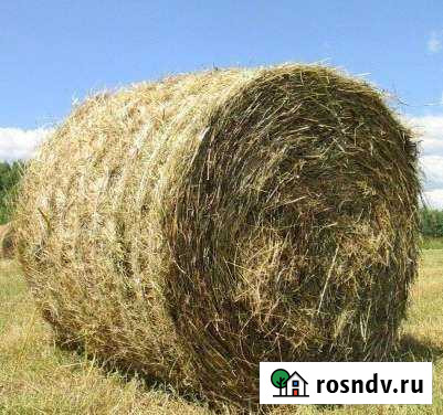 Сено в рулонах, возможен обмен Городовиковск - изображение 1