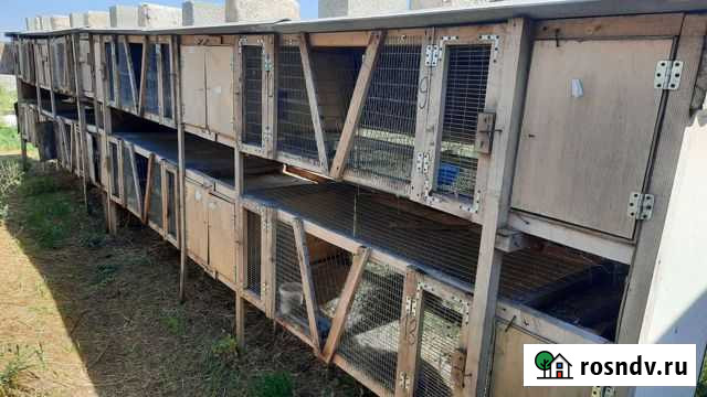 Клетка для кролика Учкекен - изображение 1