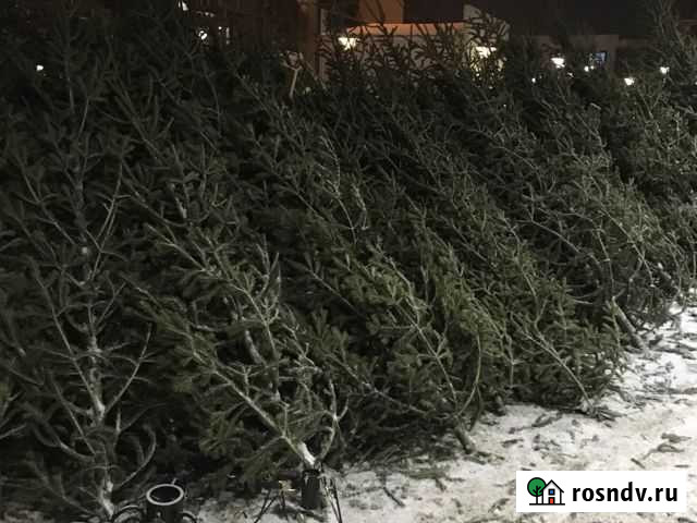 Продам Елку новогоднюю Барнаул - изображение 1