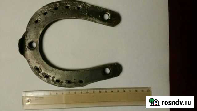 Подкова Сасово - изображение 1