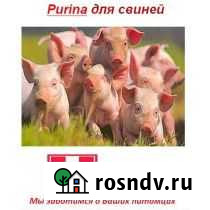 Комбикорм и добавки для комбикорма Мирный - изображение 1