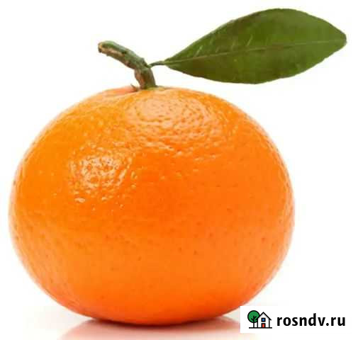 Студийный администратор Санкт-Петербург - изображение 1