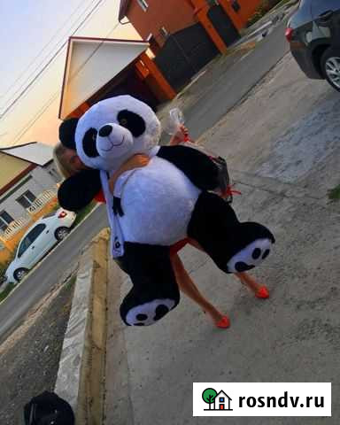 Плюшевый мишка Казань - изображение 1