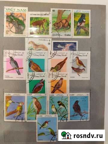 Марки животные Калининград - изображение 1