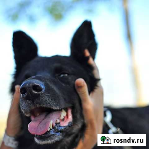 Ищем дом Симферополь - изображение 1