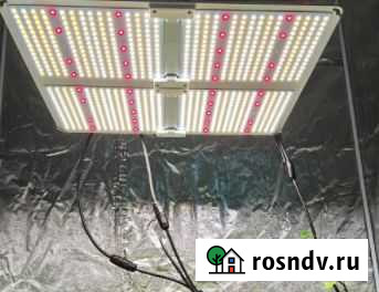 Фитолампа quantum board полный спектр 260 Вт Ярославль - изображение 1