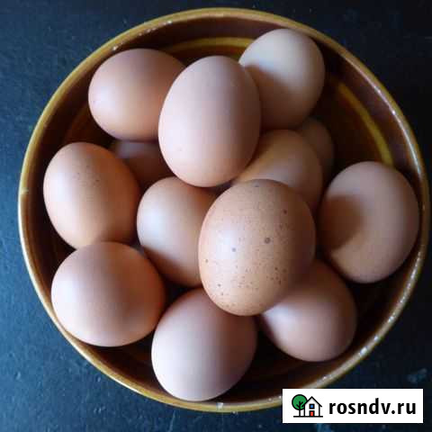 Яйцо куриное домашнее Электросталь - изображение 1