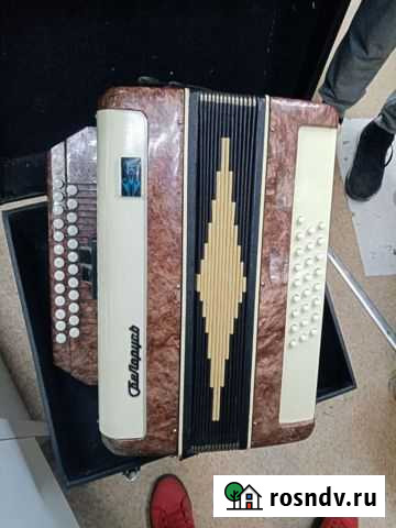 Баян беларусь Хабаровск - изображение 1