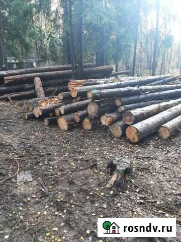 Лес на корню, делянки Владимир - изображение 1