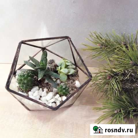 Флорариум Егорьевск - изображение 1