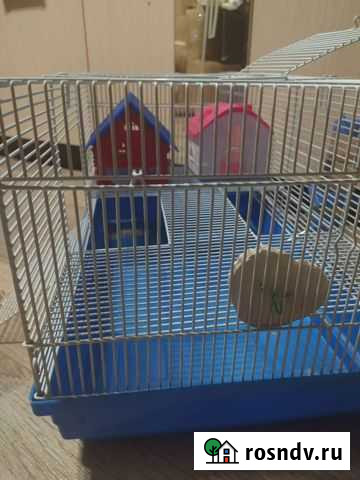 Клетка для грызунов крыс Камышин - изображение 1