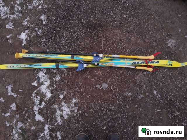 Беговые лыжи Alaska Зарайск - изображение 1