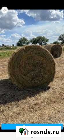 Продам сено в рулонах Ильинская - изображение 1