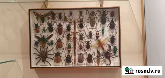 Настенное панно Благовещенск - изображение 1